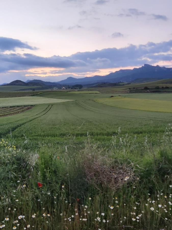 Durmiendo Como Reyes En La Rioja Cihuri 外观 照片