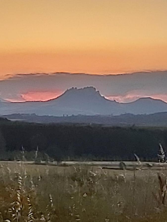 Durmiendo Como Reyes En La Rioja Cihuri 外观 照片